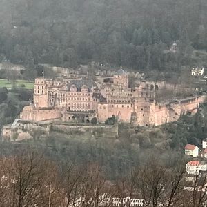 Meet your Posher, Jeanette